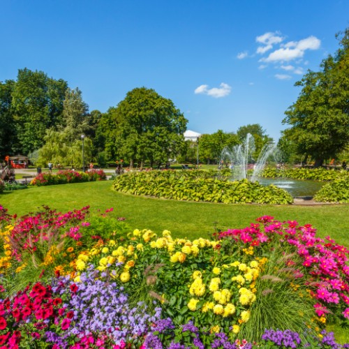 Colorful flowers in a park with a fountain, creating a vibrant and serene atmosphere.